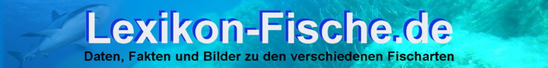 Fische Lexikon A-Z